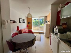 A vendre T1 Super-Besse (63)