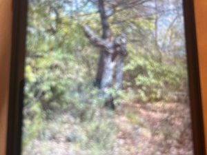 Terrain dans les hautes blases