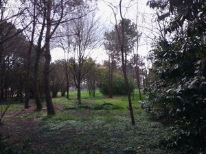 Projet de lotissement?