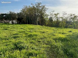 Terrain 302 m² Bollene