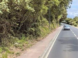 Terrain en Zone Naturelle – Idéal pour Projet Écologique ou Loisirs