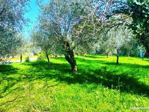 Terrain 1 000 m² Draguignan