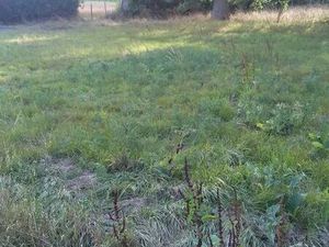 Hangar 160m2 couvert sur 3000m2 de terrain