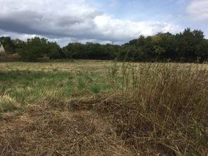 Terrain constructible viabilisé à vendre
