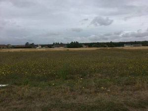 Terrain constructible viabilisé à vendre