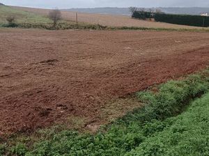 Terrain constructible à projan