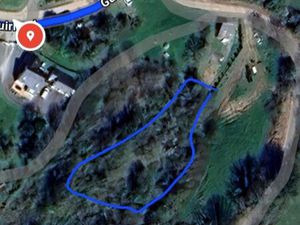 Petit bois avec ruisseau