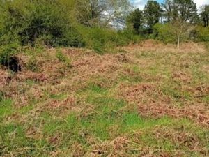 Beau terrain non constructible 5520m2