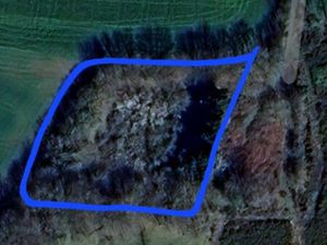 Joli terrain boisé non constructible