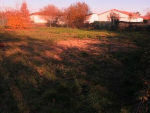 Albi Terrain à batir