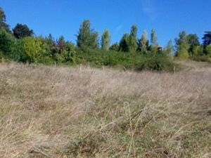 Terrain lotissable secteur Clairac
