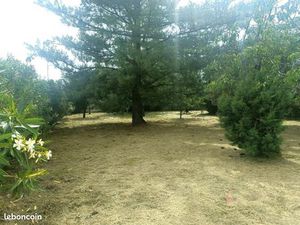Terrain 400 m² Aigrefeuille