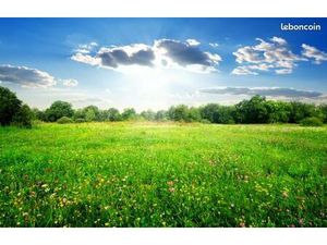 Terrain environ 500m²