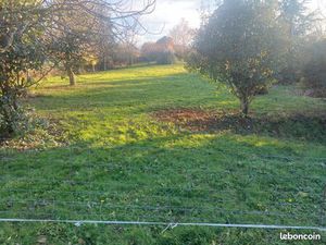 Terrain constructible