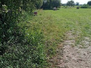 Parcelle au Mont-Dol – 1 95Ha + hangar - Non Constructible