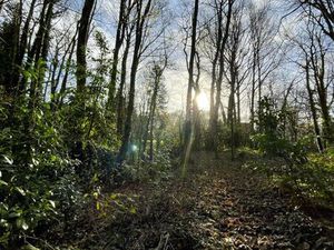 Terrain constructible boisé – environ 2 480 m² – Permis purgé de tout recours Varengeville