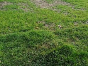 Terrain 411 m² Tremeven