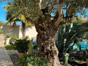 Maison 3 chambres 132M2