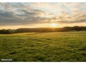 Recherche terrain Constructible