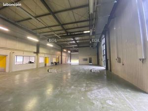 Local bureaux 800 m²