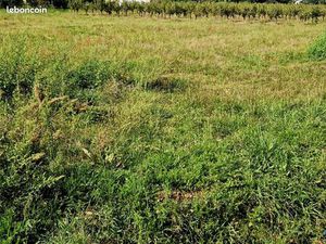 Terrain constructible viabilisé 1062m2