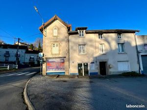 Immeuble de rapport 11 pièces 239 m²