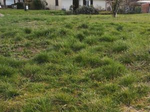 À saisir Terrain de 490 m²