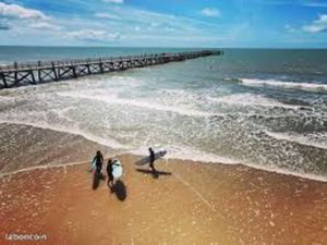 Terrain 1 305 m² Saint Jean De Monts