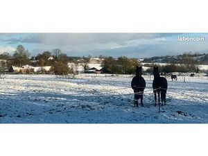 Petite maison entourée de 5 6 ha de prairies