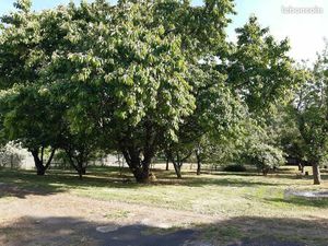 Terrain à bâtir à Lhommaizé