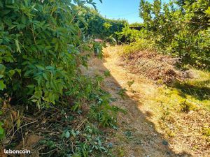 Terrain constructible