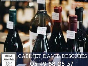 CABINET DAVID DESCUBES