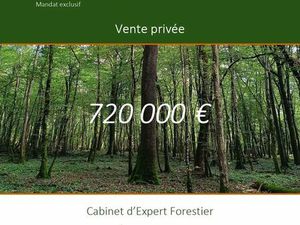 Propriété forestière de 40 70 ha – commune de Champlecy – département de Saône-et-Loire