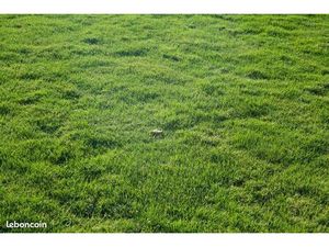 Terrain 301 m² Givrand