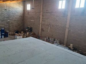 Hangar / local à louer