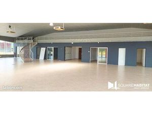 Local commercial 620 m²