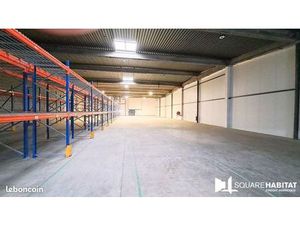 Local d'activité 1 000 m²