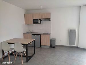 Grand studio meublé 30m2 lumineux avec terrasse à Mauguio ville