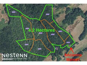 Terrain 42195 m² CURVALLE