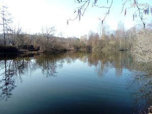 Vend étang pour la pêche