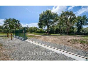 SUBLIMONS TRANSACTIONS