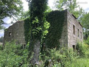 Terrain 3 105 m² Lapte