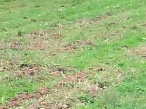 Recherche terrain agricole à acheter