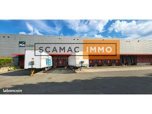 Local d'activité 6 081 m²