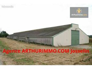Local 4000 m² Josselin