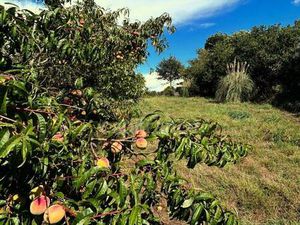 Propriété de loisirs à vendre