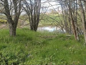 Terrain Nature et Tourisme 3ha  étangs  Mont Mezenc