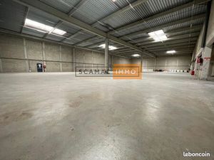 Local d'activité 1 165 m²