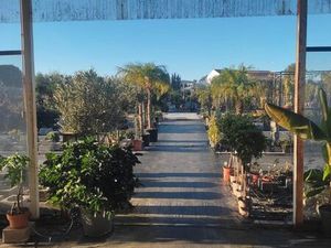 Terrain Huelva Andalousie