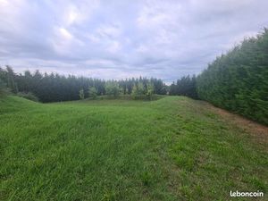 Terrain 675m2 viabilisé en bordure